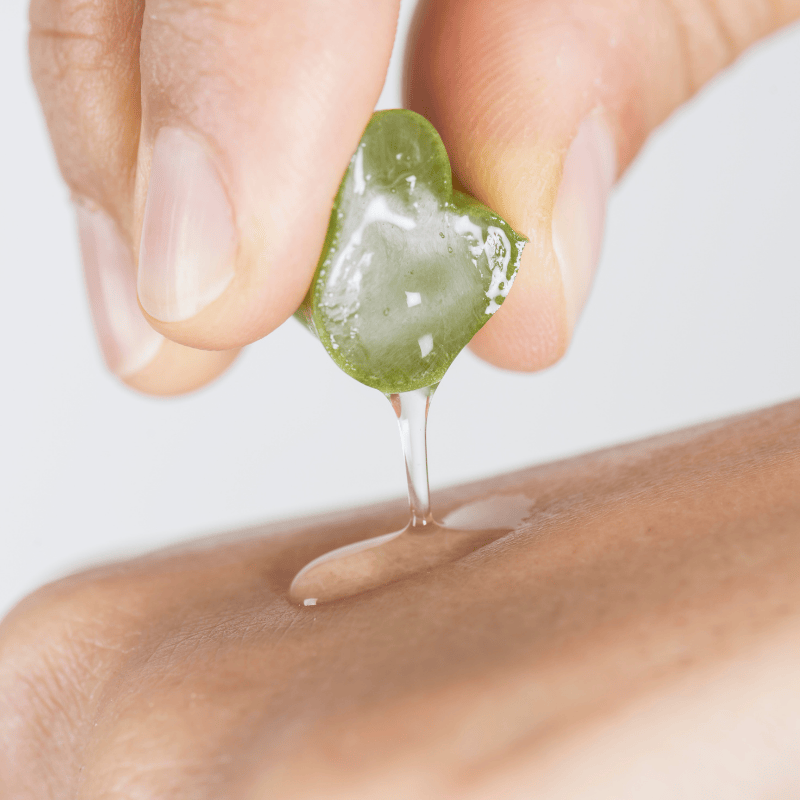 Feuille d'aloe vera pressée par une main avec le jus d'aloe vera qui coule sur une autre main sur fond unis.