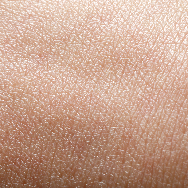 Gros plan sur la peau humaine avec une vue détaillée de sa texture, mettant en évidence les variations naturelles et les minuscules pores. L'image révèle un réseau de fines lignes, qui peuvent suggérer une peau sèche. Malgré cela, la peau semble lisse et uniformément tonifiée.