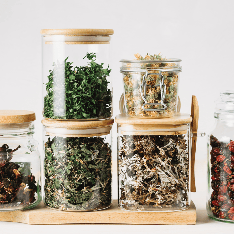 photo de plantes médicinales séchées dans des bocaux en verre sur fond uni.