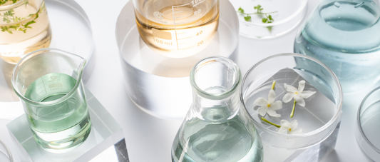 A flat lay of various laboratory glassware containing clear and colored liquids, flowers, and plant clippings. The glassware includes beakers, flasks, and petri dishes, arranged on a white surface with a clean, minimalist aesthetic.