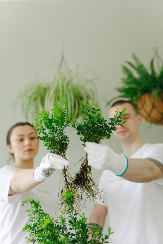 Pourquoi utiliser des soins cosmétiques naturels : avantages pour la peau et la planète