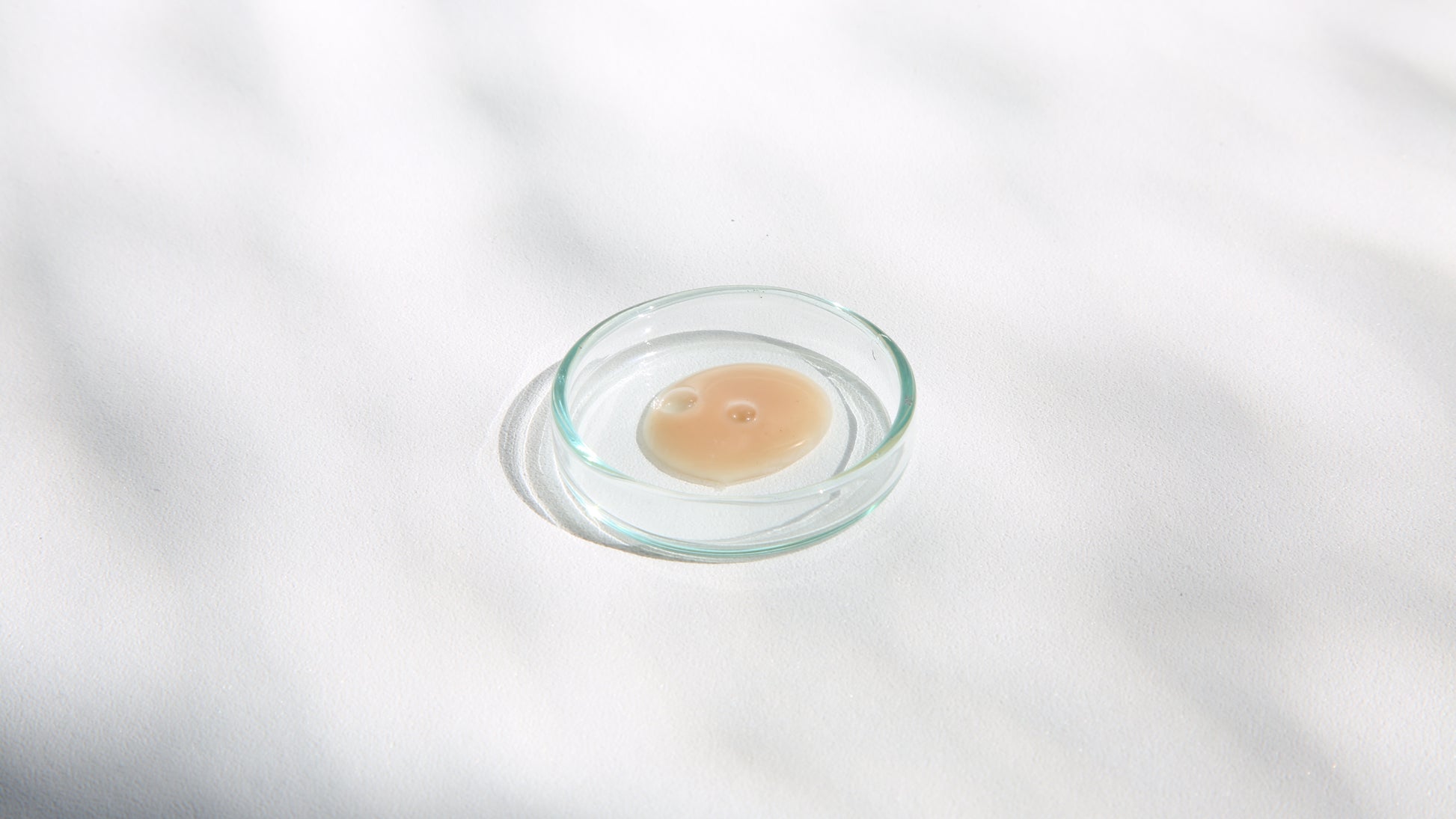 A small round glass Petri dish contains a circular drop of a beige-colored substance, 123 LActive face serum with CBD, placed on a white surface. Soft shadows create a subtle pattern in the background.